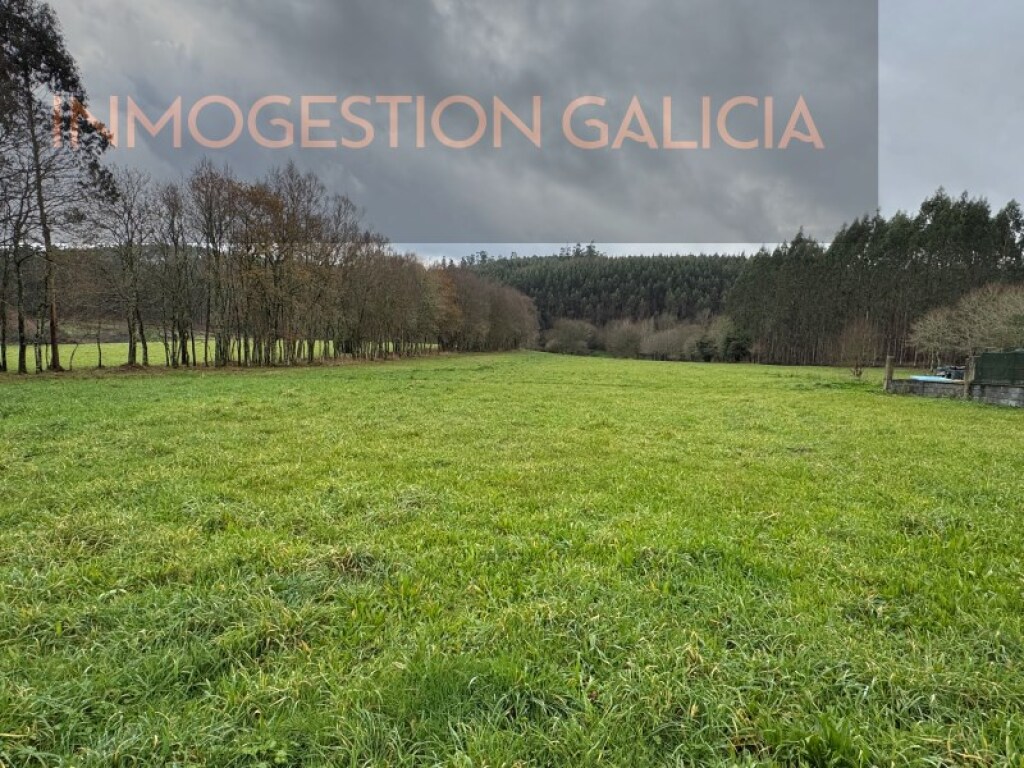 Imagen 1 de Parcela en Venta en Cerceda La Coruña