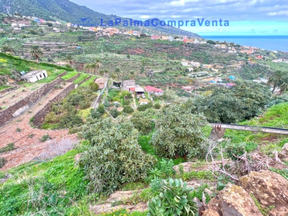 Imagen 3 de Casa de pueblo en Venta en Santa Cruz De La Palma Santa Cruz de Tenerife