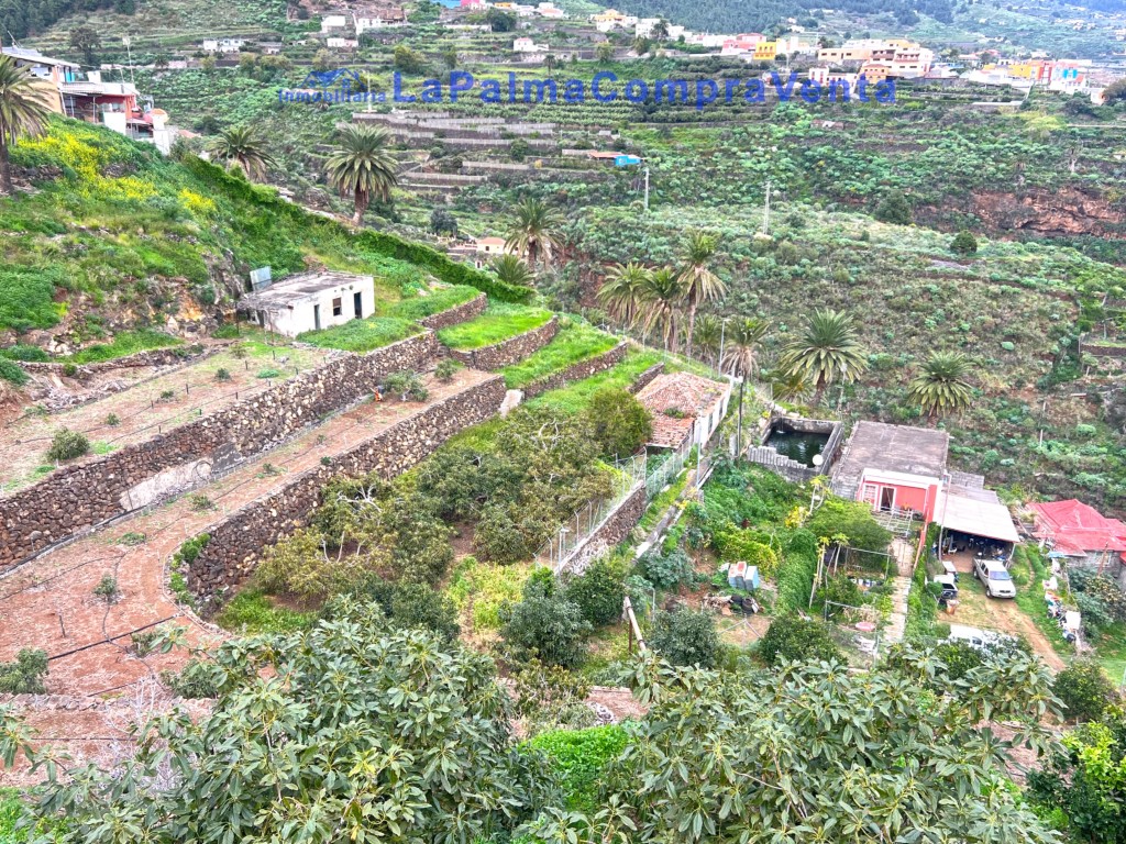 Imagen 1 de Casa de pueblo en Venta en Santa Cruz De La Palma Santa Cruz de Tenerife