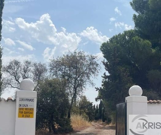 Imagen 2 de TERRENO EN CASARRUBIOS **CONSULTAR PRECIO**