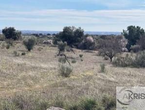 Imagen 3 de TERRENO EN CASARRUBIOS **CONSULTAR PRECIO**