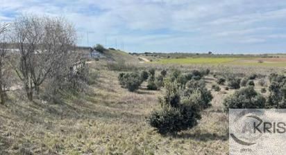 Imagen 4 de TERRENO EN CASARRUBIOS **CONSULTAR PRECIO**