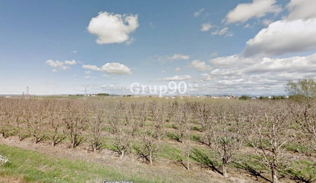 Imagen 1 de ? Se venden 3 fincas rústicas en Albatàrrec – 36.860 m2 (posibilidad de venta por separado)