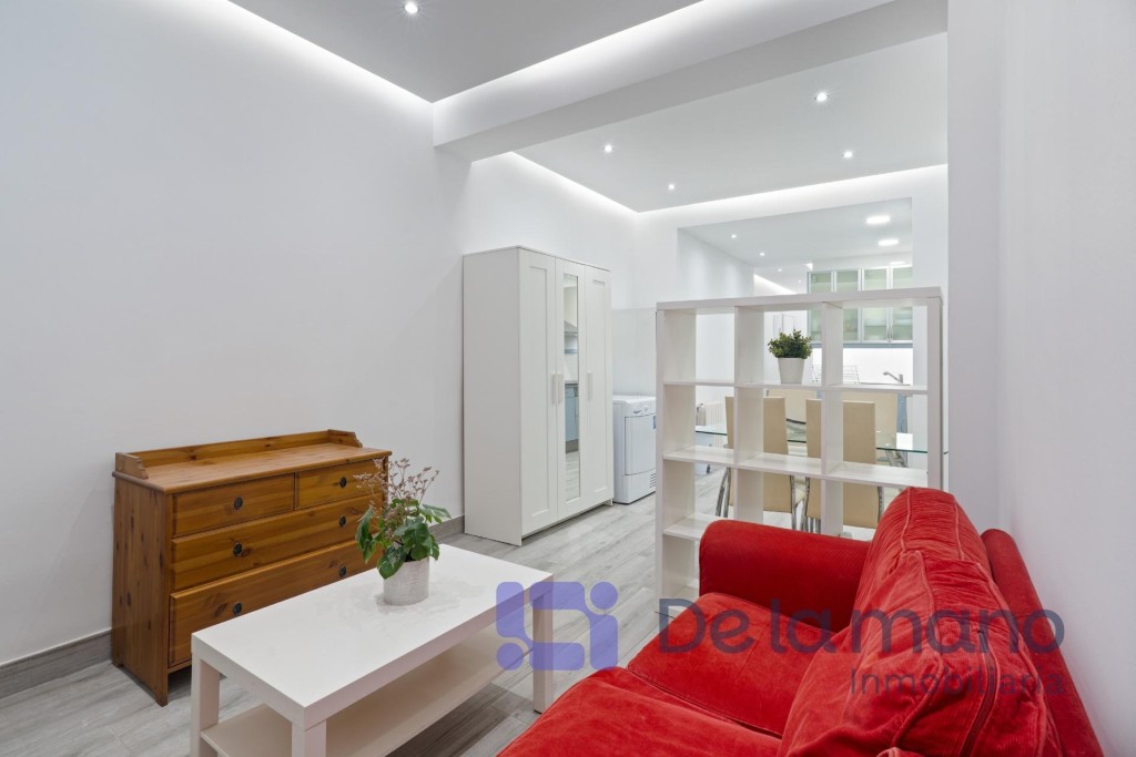 Imagen 1 de AGRADABLE PISO RECIÉN PINTADO Y TOTALMENTE AMUEBLADO PARA VIVIENDA HABITUAL.