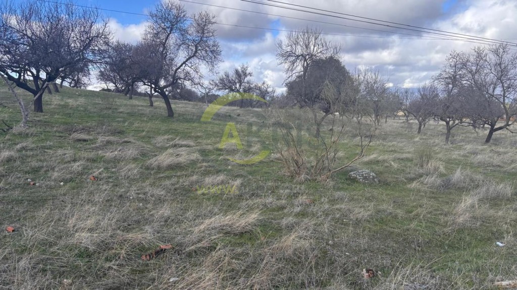 Imagen 2 de Terreno rústico en Cerro de los Palos
