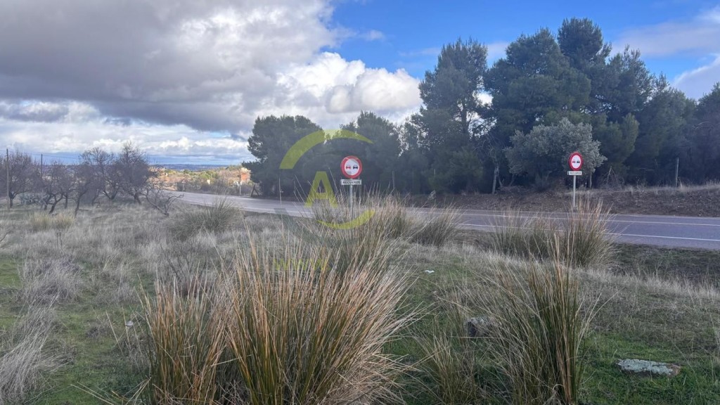 Imagen 3 de Terreno rústico en Cerro de los Palos