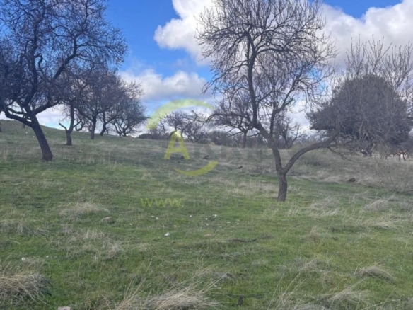 Imagen 1 de Terreno rústico en Cerro de los Palos