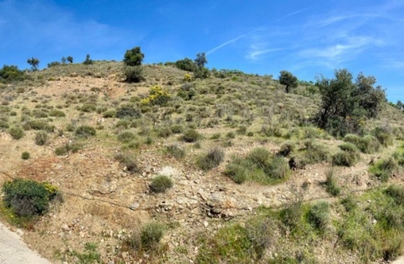 Imagen 2 de Terreno de 33.000m en venta