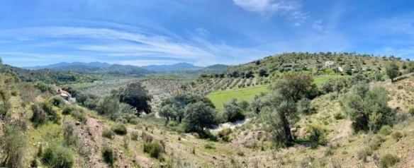 Imagen 4 de Terreno de 33.000m en venta