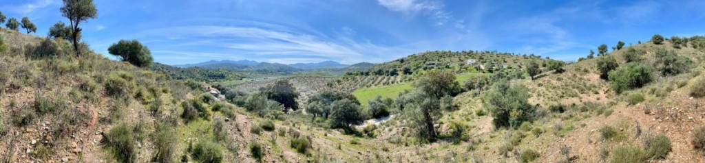 Imagen 4 de Terreno de 33.000m en venta