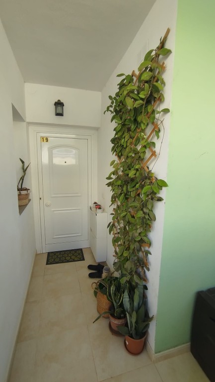 Imagen 4 de Piso en Venta en Costa Calma Las Palmas