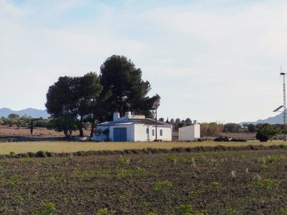 Imagen 4 de Casa-Chalet en Venta en Yecla Murcia