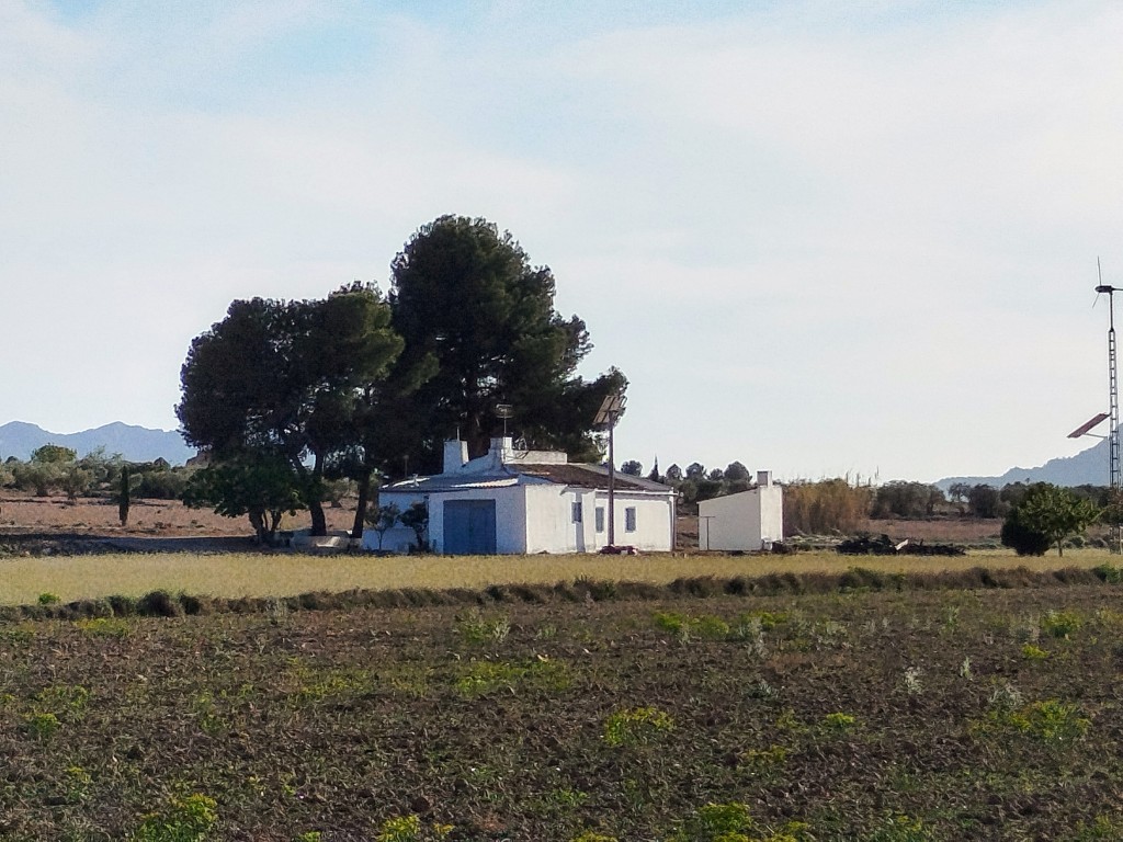 Imagen 4 de Casa-Chalet en Venta en Yecla Murcia