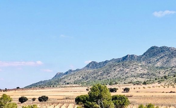 Imagen 3 de Adosada en Venta en Yecla Murcia