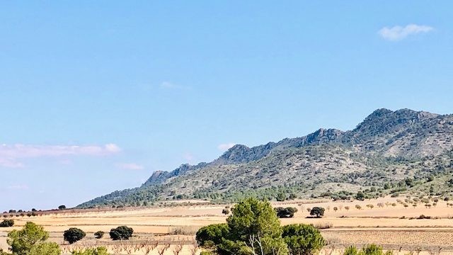 Imagen 3 de Adosada en Venta en Yecla Murcia