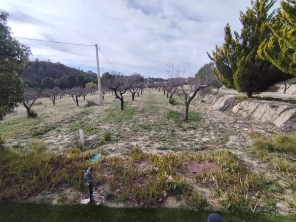 Imagen 4 de Preciosa finca rústica con excelente potencial en Relleu