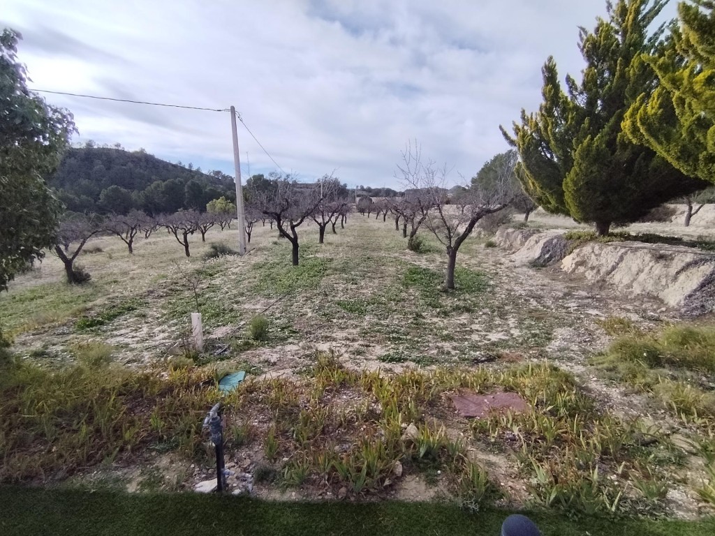 Imagen 4 de Preciosa finca rústica con excelente potencial en Relleu