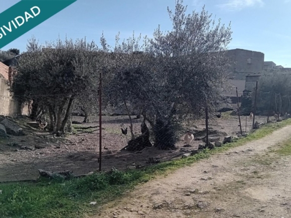 Imagen 3 de Excepcional Solar Urbano en Lagartera: 890 m² con Todos los Servicios