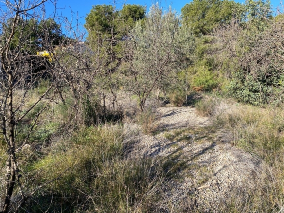 Imagen 4 de Terreno para construir vivienda unifamiliar+Anexos