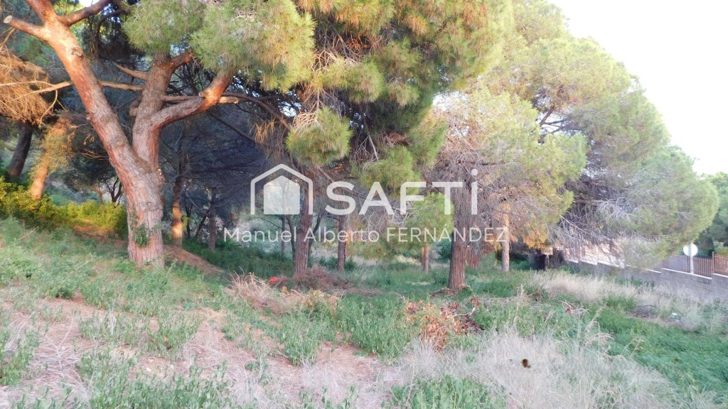 Imagen 2 de Vive entre el mar y la exclusividad en Can Quirze