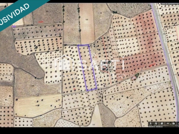 po-1250975-imagen - El Club del Propietario Imagen 1 de Terreno de Secano con Plantación de Olivos en Campo de Criptana