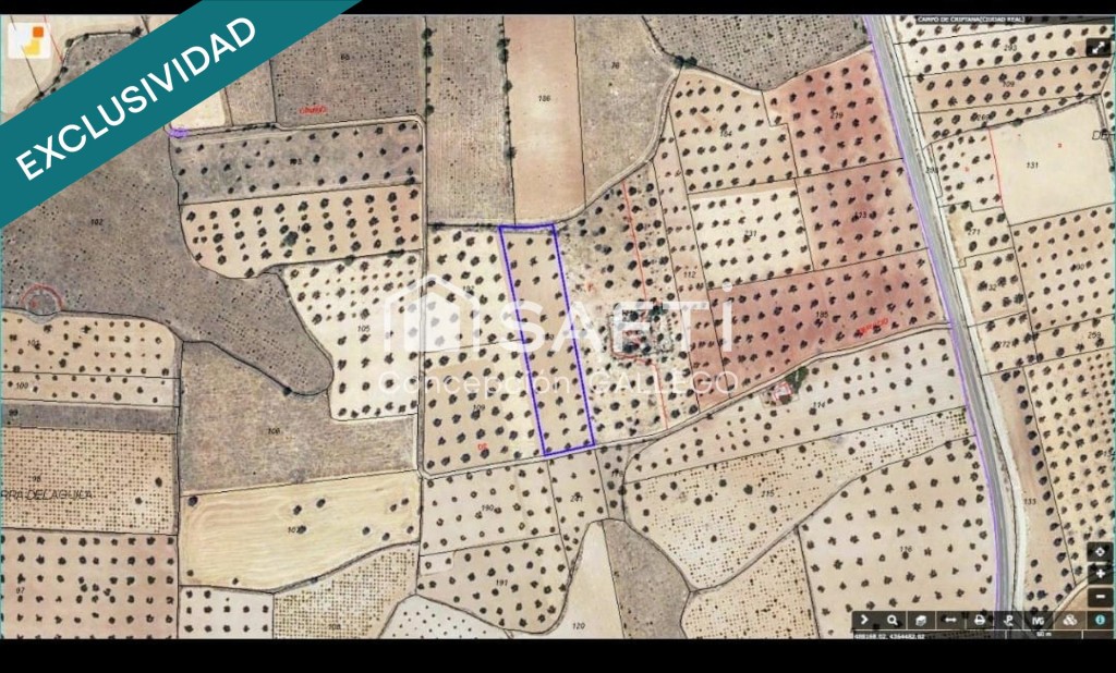 Imagen 1 de Terreno de Secano con Plantación de Olivos en Campo de Criptana