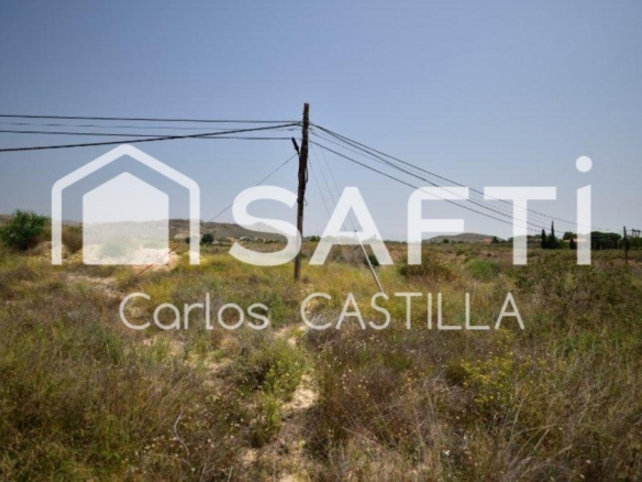 Imagen 2 de Gran terreno rústico de 12.000m2 perfectamente conectado.