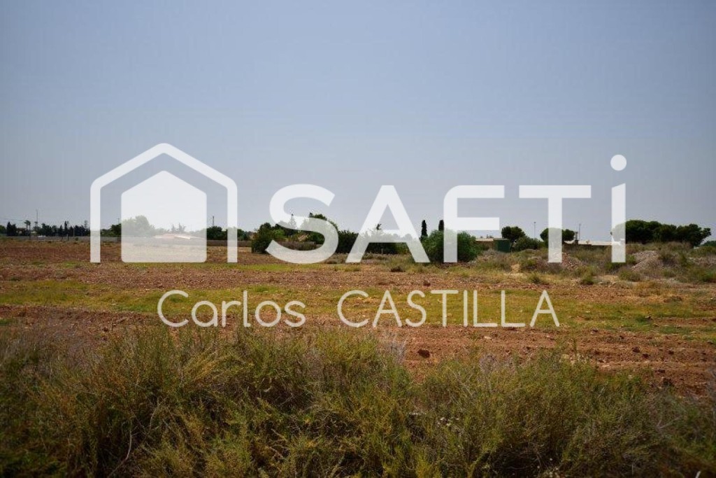 Imagen 4 de Gran terreno rústico de 12.000m2 perfectamente conectado.