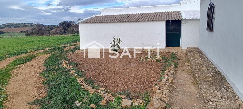 Imagen 2 de Gran finca de 59.000 m² con vivienda y almacenes