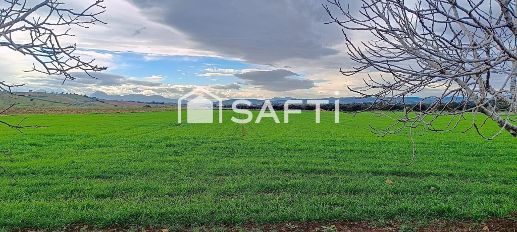 Imagen 1 de Gran finca de 59.000 m² con vivienda y almacenes