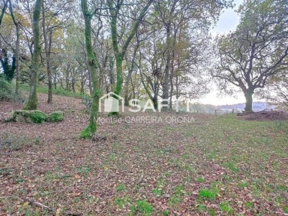 Imagen 3 de OPORTUNIDAD!!ESPECTACULAR ARBOLEDA DE 7.000 METROS CUADRADOS CON BONITA CASA DE PIEDRA PARA RESTAURAR