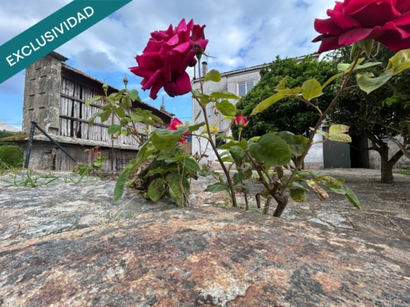 UN PROYECTO CON MUCHO POTENCIAL.