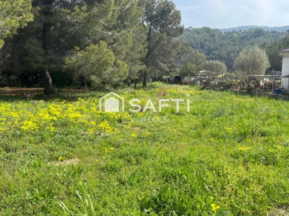 Imagen 3 de Solar en Oasis