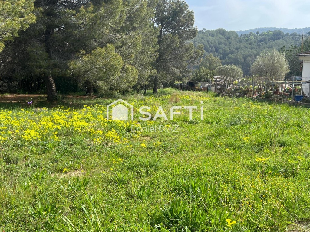 Imagen 3 de Solar en Oasis