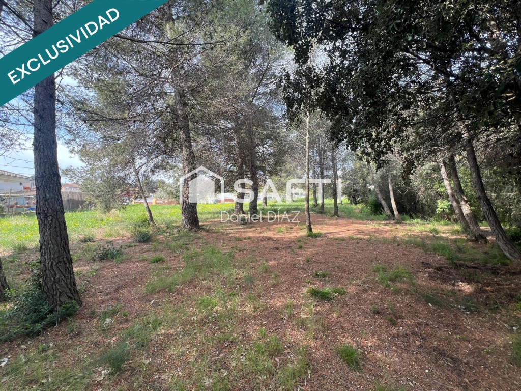 Imagen 4 de Solar en entorno natural.