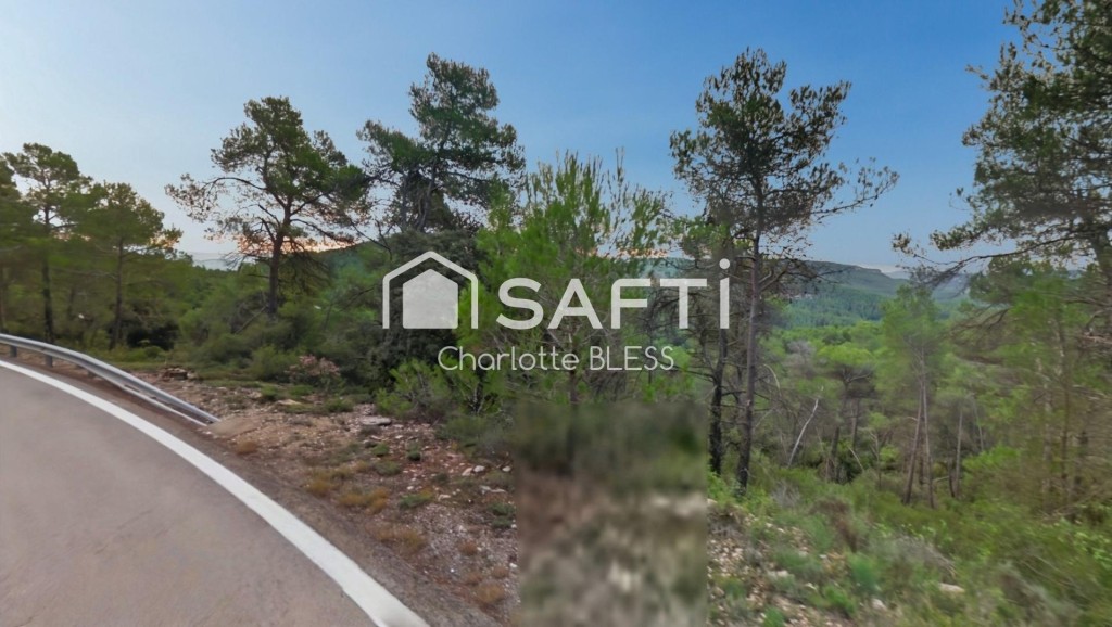 Imagen 2 de Terreno único en venta de 11.000 m² en La Llacuna