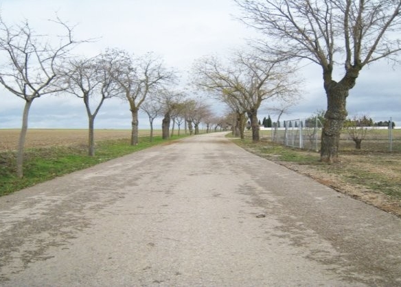 Imagen 1 de ¡ GRAN OPORTUNIDAD TERRENO RUSTICO!