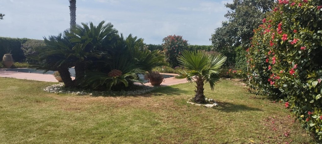 Imagen 2 de Chalet con piscina