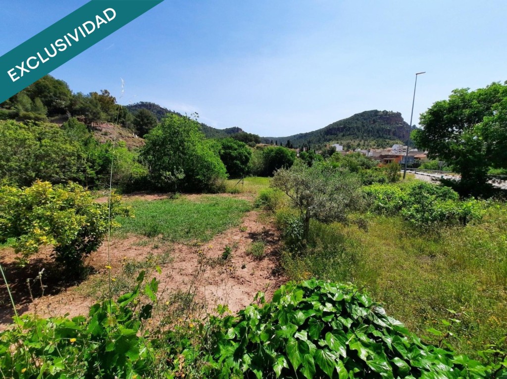 Imagen 3 de ¡Tu huerto junto a la naturaleza!