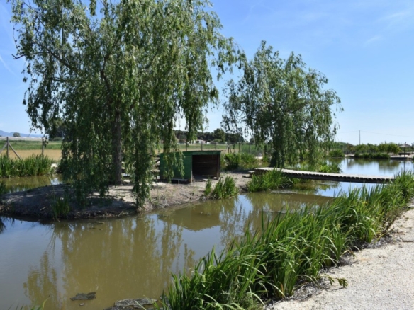 Imagen 2 de Magnifica finca rustica en el Parque natural del Delta del Ebro!
