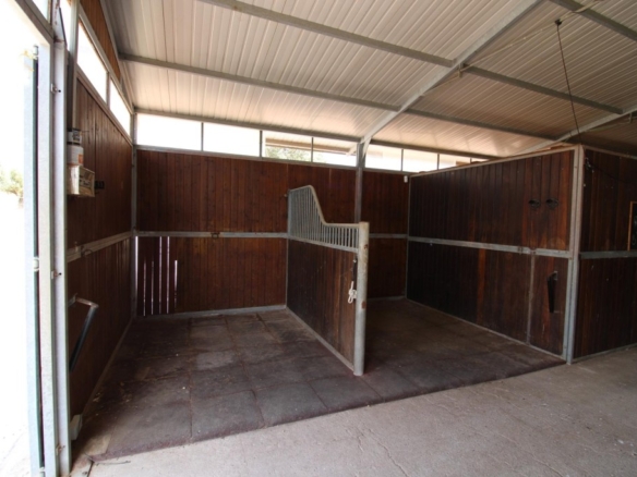 Imagen 2 de Terreno hipica en Almenara