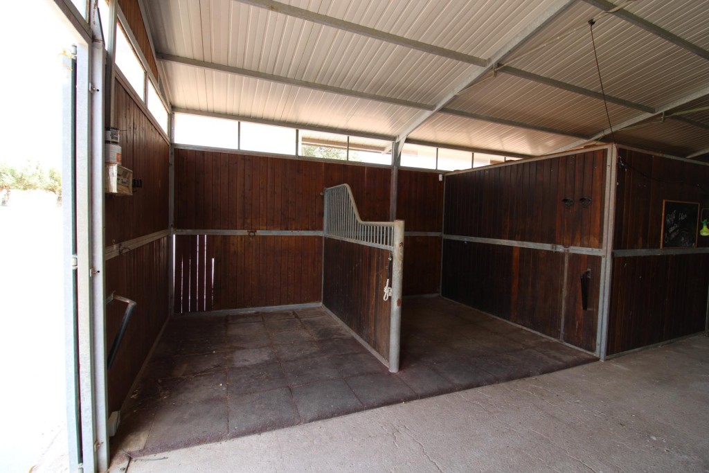 Imagen 2 de Terreno hipica en Almenara