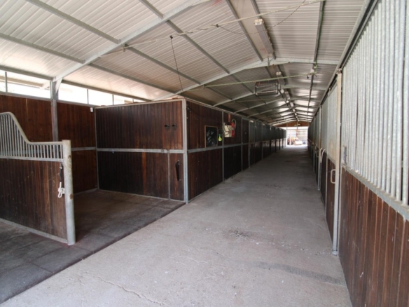 Imagen 3 de Terreno hipica en Almenara