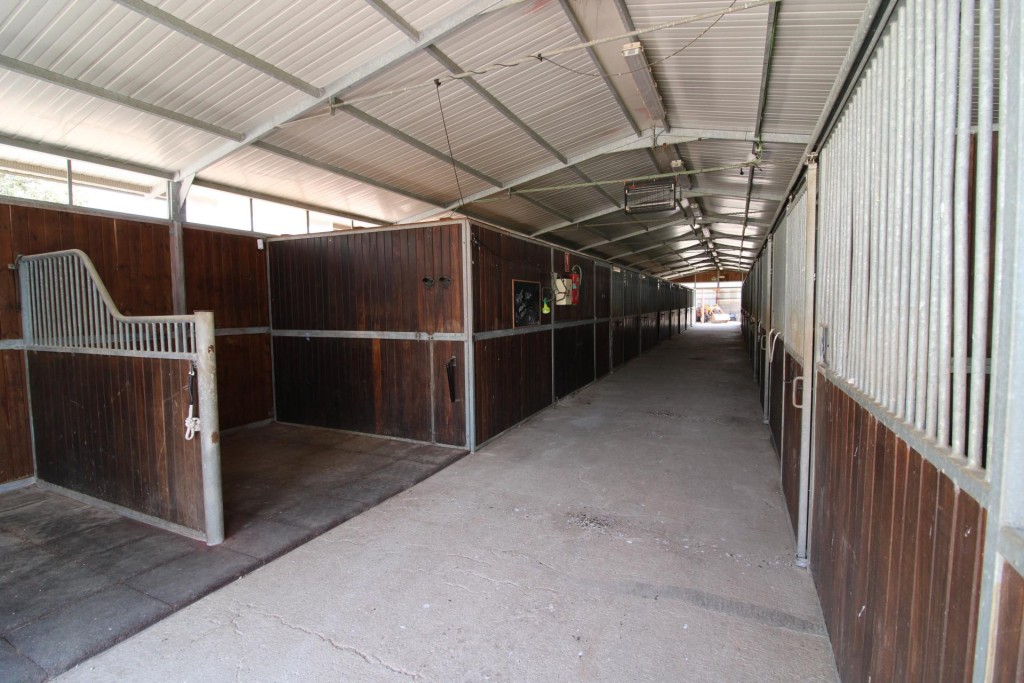 Imagen 3 de Terreno hipica en Almenara