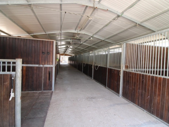 Imagen 4 de Terreno hipica en Almenara