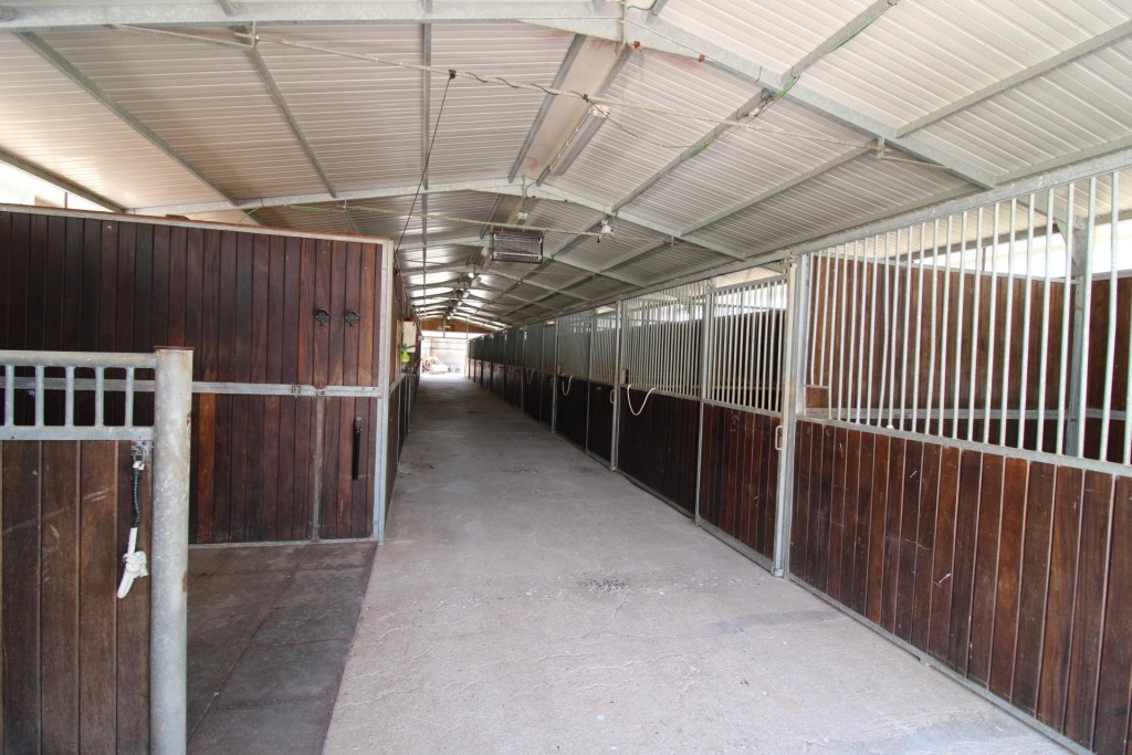 Imagen 4 de Terreno hipica en Almenara