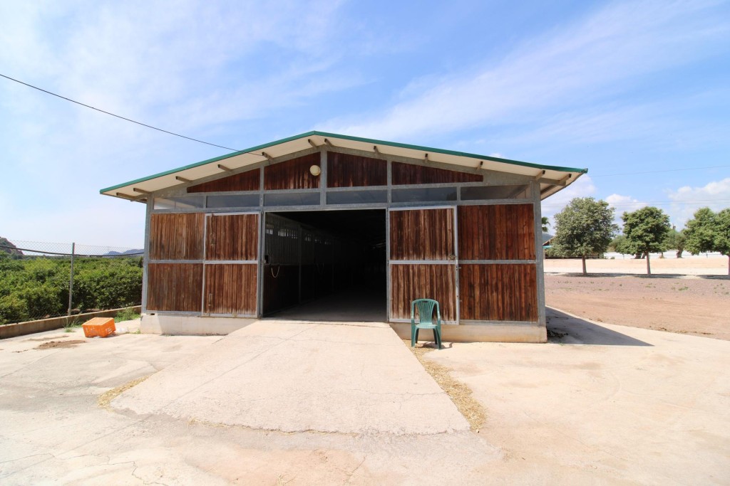 Imagen 1 de Terreno hipica en Almenara