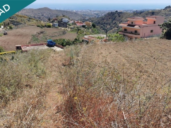 Imagen 2 de SE VENDE BONITA FINCA RÚSTICA EN LO BLANCO (SAN JOSÉ DEL ÁLAMO)