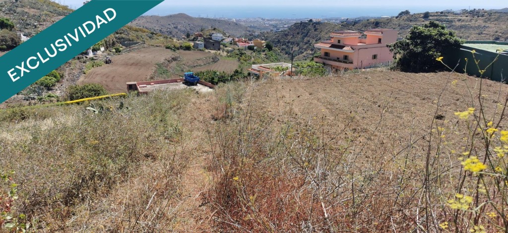 Imagen 2 de SE VENDE BONITA FINCA RÚSTICA EN LO BLANCO (SAN JOSÉ DEL ÁLAMO)