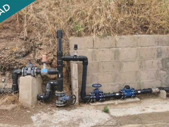 Imagen 3 de SE VENDE BONITA FINCA RÚSTICA EN LO BLANCO (SAN JOSÉ DEL ÁLAMO)